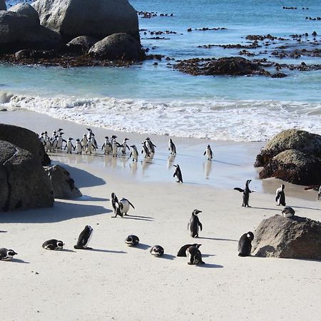 Boulders Beach House Simon's Town Ngoại thất bức ảnh